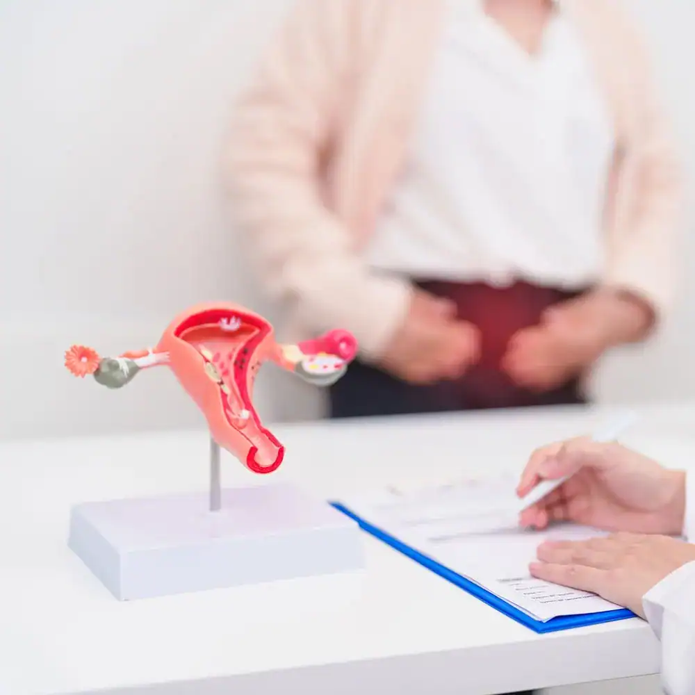 A clinician explains gynecological testing with an anatomical model